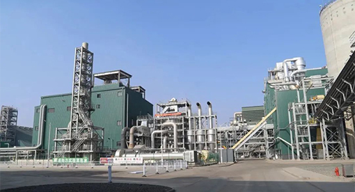 河北嘉好5000噸大豆項(xiàng)目投產(chǎn)