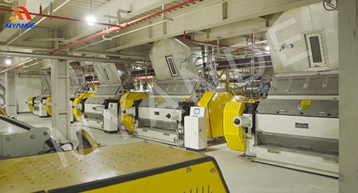 邁安德承建江海糧油集團(tuán)二期項(xiàng)目投產(chǎn)